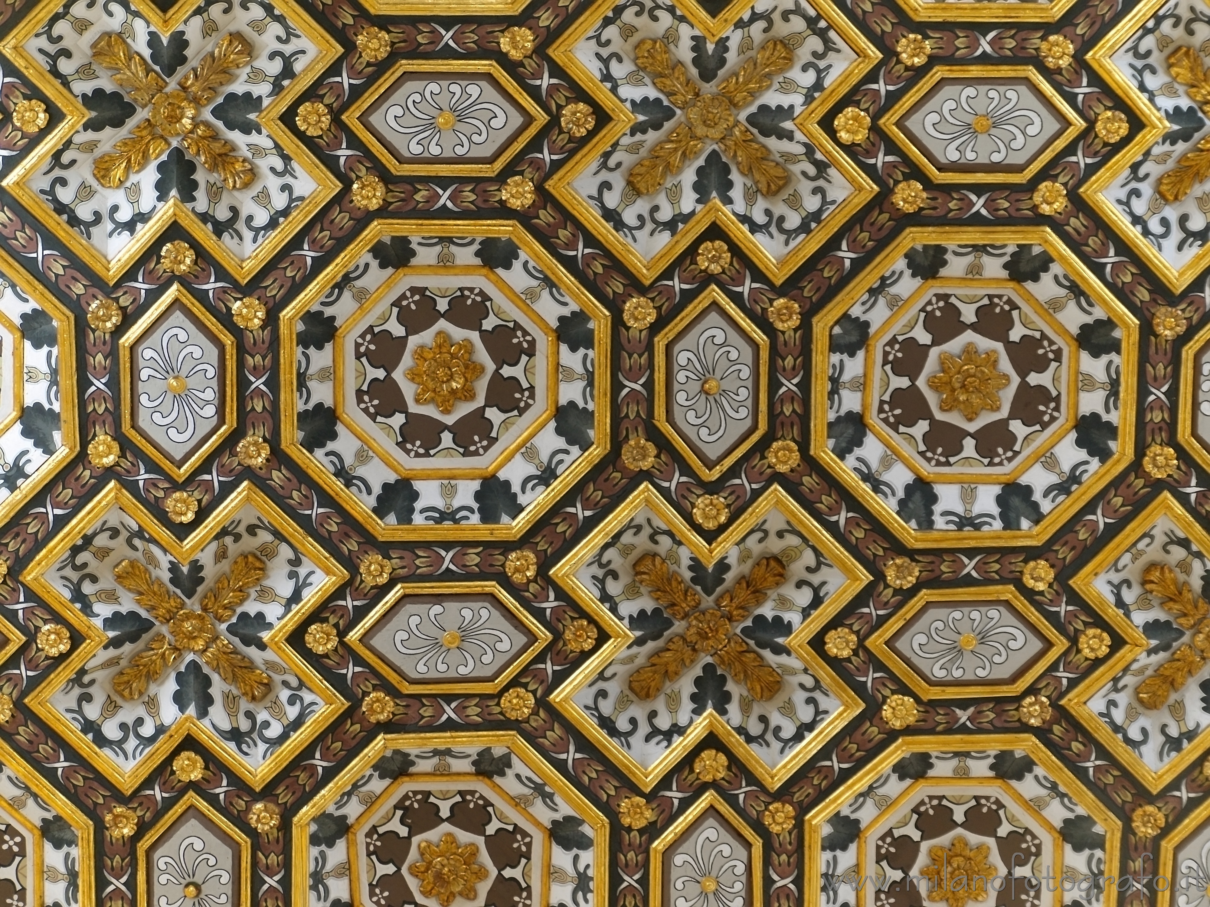 Otranto (Lecce, Italy) - Detail of the ceiling of the Cathedral of Otranto